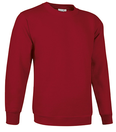 SUDADERA BASIC - Imagen 2